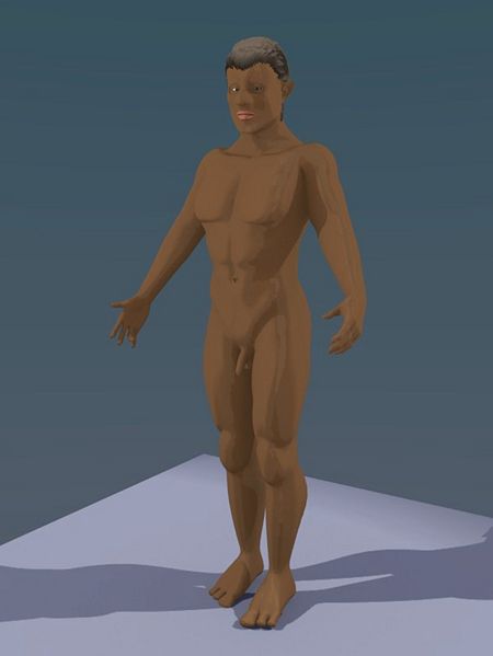 Fichier:Pitt02.jpg