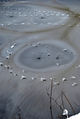 Hiver01p.JPG