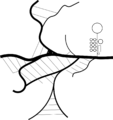 Vignette pour la version du 16 mars 2014 à 23:13